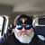 Jim Hope's profile image