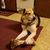Chad Opfer's profile image