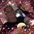 Julie Fanson's profile image