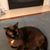 Becca Sloop's profile image