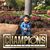 Jose Cornelio's profile image