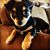 Diana Phillips-Smith's profile image