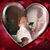 Jo Smith's profile image