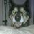 Jeff Swanson's profile image