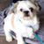 Juan Venegas's profile image