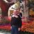 Mary Anne McDonald Scanlon's profile image