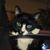 Vicki Parker's profile image