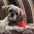 Shelia Millaway's profile image