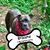 Linda Pitti's profile image