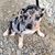 Linda Hadley's profile image