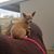 Jere Wise Sandor's profile image