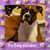 Rachel Marie's profile image