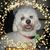 Mary Jo Snyders Duffy's profile image