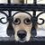 Michael Hite's profile image