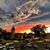Wanda Parsons Chandler's profile image