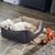 Janice Peters's profile image