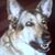 Juliann Suznovich's profile image