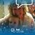 Linda Strong Sudds's profile image