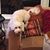 Marcy Kadin's profile image