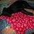 Lisa K Lytle's profile image
