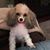 Jacki Hatfield Rittell's profile image
