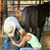 Alison McKinney Poteet's profile image