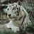 Candi Seward's profile image