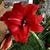 Joyce McIntyre's profile image