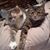 Kimberly Adams Krasley's profile image