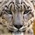 John Knittel's profile image