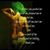 Nicole Lietzke Young's profile image