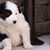 Sandy Pagel's profile image