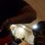 Quincy Ray Gibson Bell's profile image