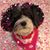 Maria Farhat-Tanzola's profile image
