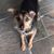 Cindy OreoOrzitio Douglas's profile image