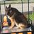 Missy Charlton Lint's profile image