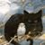 Barbara Malburg's profile image