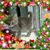 Cheri Griffth's profile image