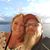 Sheryl Evans's profile image