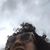 Lillian Prz's profile image