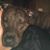 Sally Lee's profile image