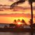 Judy Mescher Rodgers's profile image