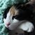 Karen Joyce's profile image