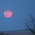 Cindi Stinson Sullivan's profile image