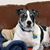 Rose Moody's profile image