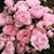 Brenda Brown's profile image