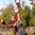 Brenda Gissell's profile image