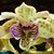 Lee Ann Menard Grush's profile image
