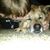 Renee Beardsley's profile image