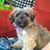 Judy Taylor's profile image